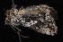  ( - 08-JDWBC-2061)  @12 [ ] CreativeCommons - Attribution (2010) Unspecified University of British Columbia