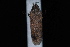  ( - 08-JDWBC-1216)  @12 [ ] CreativeCommons - Attribution (2010) Unspecified University of British Columbia