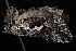  ( - 08-JDWBC-2062)  @12 [ ] CreativeCommons - Attribution (2010) Unspecified University of British Columbia