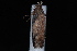  ( - 08-JDWBC-1218)  @12 [ ] CreativeCommons - Attribution (2010) Unspecified University of British Columbia