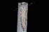  ( - 08-JDWBC-2159)  @11 [ ] CreativeCommons - Attribution (2010) Unspecified University of British Columbia
