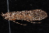  ( - 08-JDWBC-2348)  @14 [ ] CreativeCommons - Attribution (2010) Unspecified Centre for Biodiversity Genomics