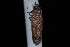  ( - 08-JDWBC-1222)  @12 [ ] CreativeCommons - Attribution (2010) Unspecified University of British Columbia