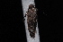 ( - 08-JDWBC-1224)  @12 [ ] CreativeCommons - Attribution (2010) Unspecified University of British Columbia