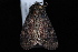  ( - 08-JDWBC-0381)  @13 [ ] CreativeCommons - Attribution (2010) Unspecified University of British Columbia