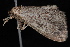  ( - 08-JDWBC-1135)  @12 [ ] CreativeCommons - Attribution (2010) Unspecified University of British Columbia