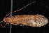  ( - 08-JDWBC-1983)  @12 [ ] CreativeCommons - Attribution (2010) Unspecified Centre for Biodiversity Genomics