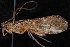  ( - 08-JDWBC-2359)  @14 [ ] CreativeCommons - Attribution (2010) Unspecified Centre for Biodiversity Genomics