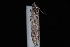  ( - 08-JDWBC-3342)  @12 [ ] CreativeCommons - Attribution (2010) Unspecified University of British Columbia
