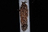  ( - 08-JDWBC-1277)  @12 [ ] CreativeCommons - Attribution (2010) Unspecified University of British Columbia