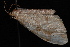  ( - 08-JDWBC-1841)  @12 [ ] CreativeCommons - Attribution (2010) Unspecified University of British Columbia