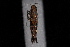  ( - 08-JDWBC-2979)  @12 [ ] CreativeCommons - Attribution (2010) Unspecified University of British Columbia