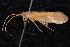  ( - 08-JDWBC-0725)  @12 [ ] CreativeCommons - Attribution (2010) Unspecified Centre for Biodiversity Genomics