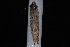  ( - 08-JDWBC-2800)  @12 [ ] CreativeCommons - Attribution (2010) Unspecified University of British Columbia