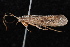  ( - 08-JDWBC-3646)  @12 [ ] CreativeCommons - Attribution (2010) Unspecified Centre for Biodiversity Genomics
