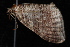  ( - 08-JDWBC-2520)  @12 [ ] CreativeCommons - Attribution (2010) Unspecified University of British Columbia