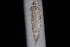  ( - 08-JDWBC-1675)  @11 [ ] CreativeCommons - Attribution (2010) Unspecified University of British Columbia