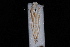  ( - 08-JDWBC-2617)  @11 [ ] CreativeCommons - Attribution (2010) Unspecified University of British Columbia