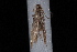  ( - 10-JDWBC-1048)  @13 [ ] CreativeCommons - Attribution (2010) Unspecified University of British Columbia