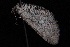  ( - 10-JDWBC-5324)  @12 [ ] CreativeCommons - Attribution (2010) Unspecified University of British Columbia