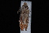  ( - 10-JDWBC-3715)  @13 [ ] CreativeCommons - Attribution (2010) Unspecified University of British Columbia