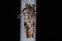  ( - 10-JDWBC-3716)  @13 [ ] CreativeCommons - Attribution (2010) Unspecified University of British Columbia