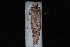  ( - 10-JDWBC-3432)  @13 [ ] CreativeCommons - Attribution (2010) Unspecified University of British Columbia