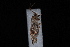  ( - 10-JDWBC-4294)  @12 [ ] CreativeCommons - Attribution (2010) Unspecified University of British Columbia