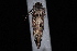  ( - 10-JDWBC-3725)  @12 [ ] CreativeCommons - Attribution (2010) Unspecified University of British Columbia