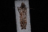  ( - 10-JDWBC-0782)  @12 [ ] CreativeCommons - Attribution (2010) Unspecified University of British Columbia