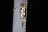  ( - 10-JDWBC-4962)  @13 [ ] CreativeCommons - Attribution (2010) Unspecified University of British Columbia