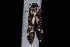  ( - 10-JDWBC-2418)  @12 [ ] CreativeCommons - Attribution (2010) Unspecified University of British Columbia