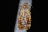  ( - 10-JDWBC-3938)  @12 [ ] CreativeCommons - Attribution (2010) Unspecified University of British Columbia