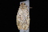  ( - 10-JDWBC-3941)  @12 [ ] CreativeCommons - Attribution (2010) Unspecified University of British Columbia
