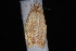  ( - 10-JDWBC-4249)  @12 [ ] CreativeCommons - Attribution (2010) Unspecified University of British Columbia