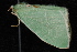  ( - 10-JDWBC-5204)  @12 [ ] CreativeCommons - Attribution (2010) Unspecified University of British Columbia