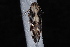 ( - 10-JDWBC-3409)  @12 [ ] CreativeCommons - Attribution (2010) Unspecified University of British Columbia