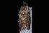 ( - 10-JDWBC-4554)  @12 [ ] CreativeCommons - Attribution (2010) Unspecified University of British Columbia