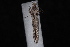  ( - 10-JDWBC-3416)  @13 [ ] CreativeCommons - Attribution (2010) Unspecified University of British Columbia