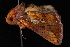  ( - 08-JDWWI-0026)  @12 [ ] CreativeCommons - Attribution (2010) Unspecified University of British Columbia