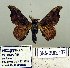  ( - 2012-132)  @11 [ ] Unspecified (default): All Rights Reserved  Unspecified Unspecified