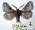  ( - 2012-169)  @11 [ ] Unspecified (default): All Rights Reserved  Unspecified Unspecified