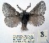  ( - 2012-170)  @11 [ ] Unspecified (default): All Rights Reserved  Unspecified Unspecified