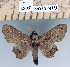  ( - 2011-919)  @15 [ ] Unspecified (default): All Rights Reserved  Unspecified Unspecified