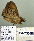  ( - 2012-091)  @12 [ ] Unspecified (default): All Rights Reserved  Unspecified Unspecified