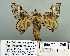  ( - 2012-250)  @12 [ ] Unspecified (default): All Rights Reserved  Unspecified Unspecified