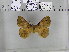 ( - EUPT-11-002)  @11 [ ] Unspecified (default): All Rights Reserved  Unspecified Unspecified