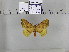  ( - EUPT-11-004)  @12 [ ] Unspecified (default): All Rights Reserved  Unspecified Unspecified