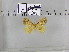  ( - EUPT-11-006)  @13 [ ] Unspecified (default): All Rights Reserved  Unspecified Unspecified