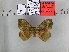  (Apha insularis - EUPT-11-030)  @13 [ ] Unspecified (default): All Rights Reserved  Unspecified Unspecified